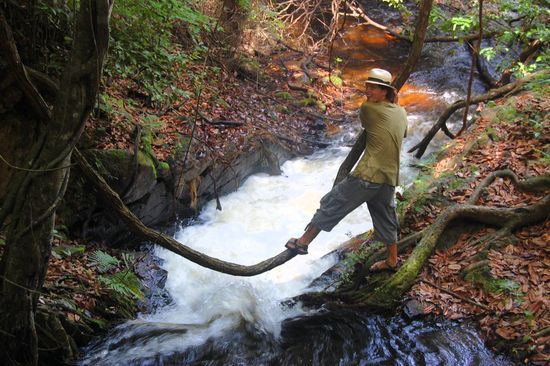 Der Gaukler will schaukeln.