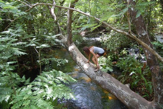 Die Frau vom Gaukler will alleine klettern...