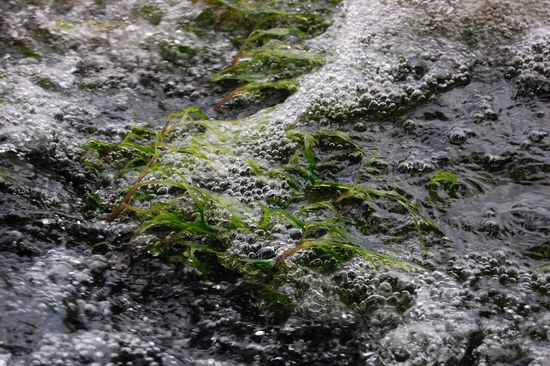 ...weils so schön ist...