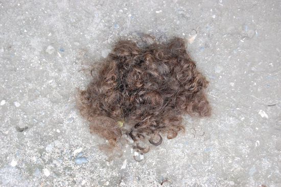 Eine Matte...tut mir leid, war echt schon zu heiß drunter!