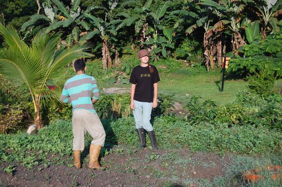 Beim Betrachten des Ackers 