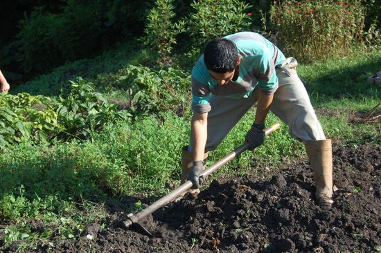 Gut, ein bisschen Muskelkraft müssen wir doch einsetzen... 
