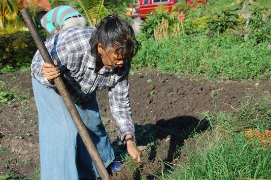Rosario ist quasi unsere Chefin, sie ist so fit für ihr Alter und trotzdem ganz eine gemütliche!