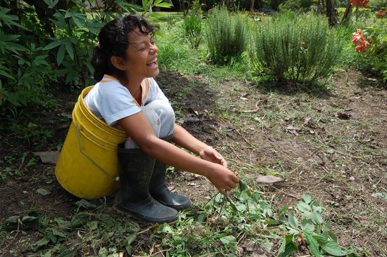 Sara ist irgendwie in diesen Kübel reingerutscht und kommt jetzt nicht mehr alleine raus...so ein Pech aber auch! 