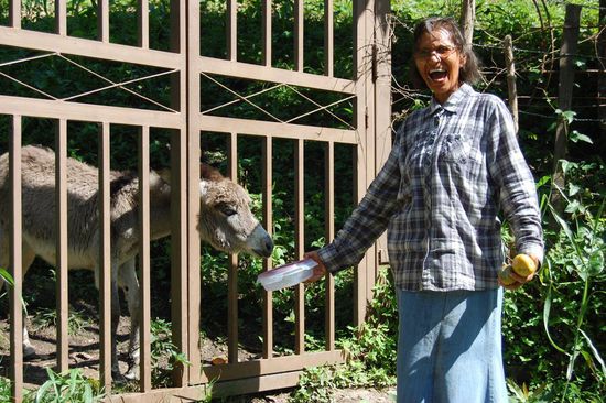 Rosario hat noch Reste für das Eselchen und sichtlich Spaß dabei ihn zu füttern 