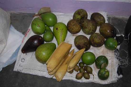 Es gibt hier keinen Grund Essen zu bunkern, außer den, dass man die guten Sachen nicht am Boden verfaulen lassen will! Das Abendessen macht sich jeder hier selbst, Frühstück und Mittagessen gibts gemeinsam.