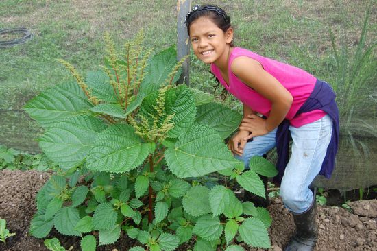 Das war unglaublich und brauchte wieder mal Sara (elf Jahre) für einen Größenvergleich: Eine Brennnessel!