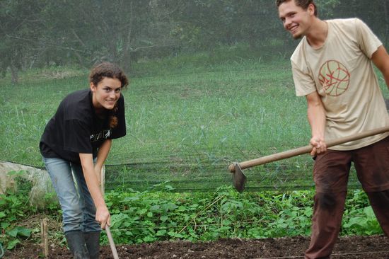 Aber er hilft brav mit, die Erde weichzuhacken.
