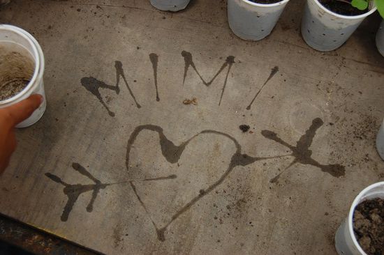 Und schreibt auch die eine oder andere Liebesbotschaft mit Wasser auf trockenes Holz (aber für spätere Generationen abfotografiert!)