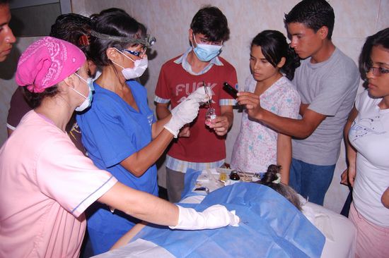 Das entfernte, böse Etwas wird zur näheren Artbestimmung eingepackt und in ein Labor geschickt.