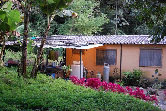 Das schnuckelige Haus von Italo und seiner Familie inmitten grünem, offenen Schlangenterrarium, brrr... 
