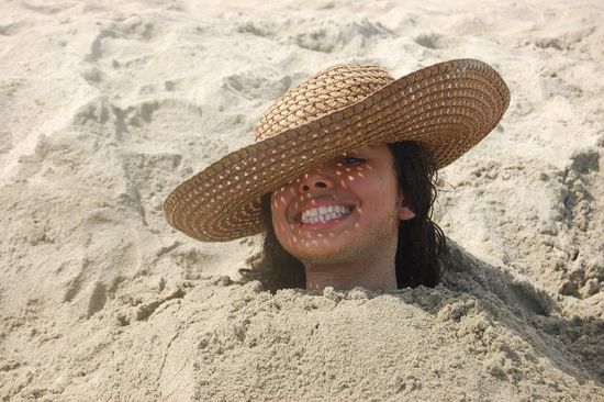 Hillary steckt lieber alles, außer ihren Kopf in den Sand.