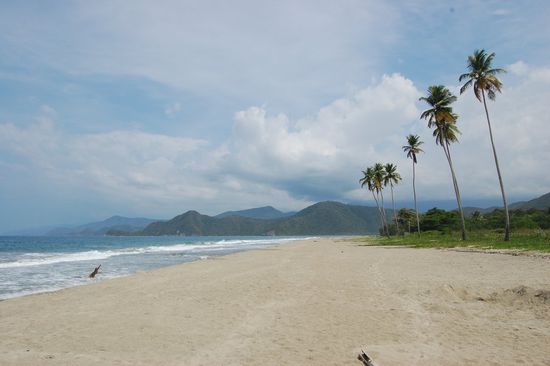 Einsamer Traumstrand.
Eigentlich hat uns der bewaffnete Security gewarnt. Zehn Meter weiter endet sein Bereich und darüber hinaus werden wir sofort Opfer eines bewaffneten Raubüberfalls werden!