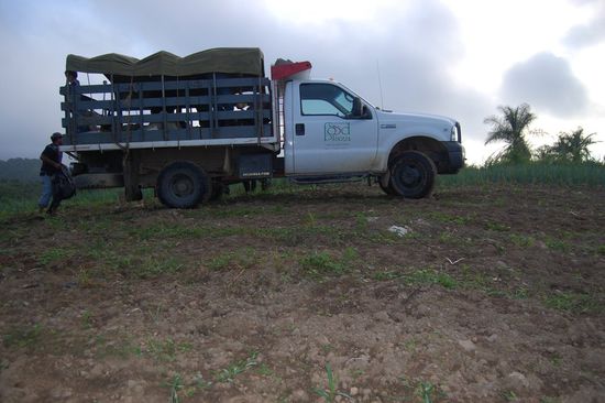 Unser Truck, auf dem wir wie Vieh draufgepackt um drei Uhr früh von der Fundacion wegfuhren, ca. 15 Leute. In Venezuela keine Seltenheit 