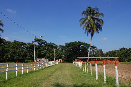 Und noch eins in die andere Richtung, weils so schön ist. In dem kleinen Häuschen hinten links haben wir beide neun Nächte lang gewohnt.