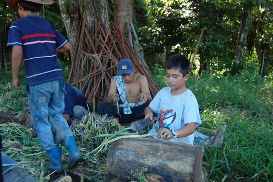 Auch die Jungen helfen schon mit den Zwiebeln die überflüssigen grünen Teile abzuhacken.