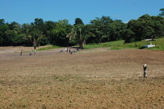 Hier ist der Acker und da kommen sie rein.