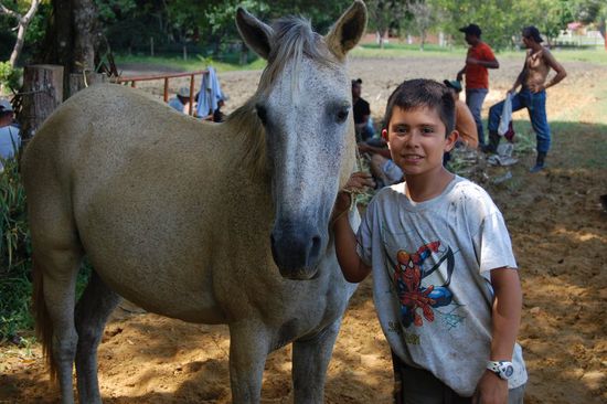 Gaul "Nube-Gris" (graue Wolke) und Julian.