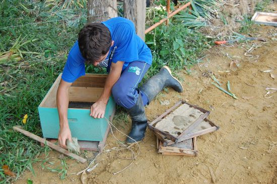 Carlos installiert einen Bienenstock für den Versuch, hier ein Volk einzufangen und die Imkerei zu etablieren.