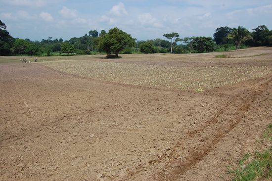 So, das erste Feld ist fertig, das zweite folgt sogleich.