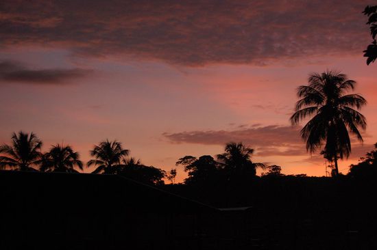 Abendstimmung unter Palmen