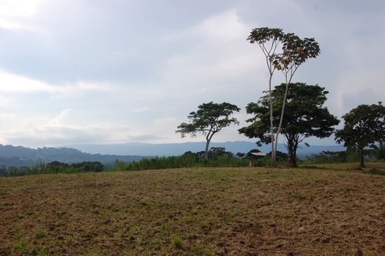 Auch dort oben wird teilweise schon Acker für neue Ernten vorbereitet.