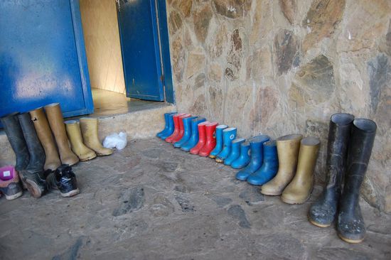 Vom Kleinsten bis zum Grössten arbeiten hier alle fleissig mit.