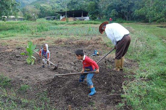 Kelvin, Samuelito und Miguel