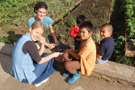 Hier werden Knoblauchzehen geschält: Stine, Mimi, Samuelito, Alejandro und Jeremy.