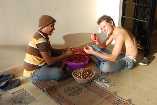 Wir schälen "Flor de Jamaica" für eine Marmelade.