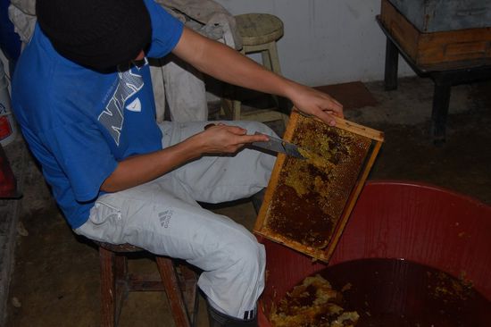 Es war ein Fest, man musste aufpassen, dass man keine Magenbeschwerden vom vielen Honig bekam!