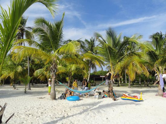 Die Palmen und das Strandspielzeug - fast schon kitschig! 