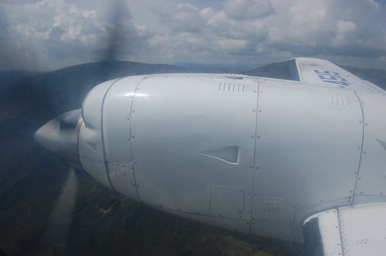 Unerforschter Urwald unter uns!