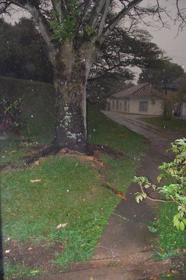 ...um einigermaßen trocken beim Abendessen anzukommen!