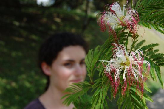 Wunderhübsche Blumen 