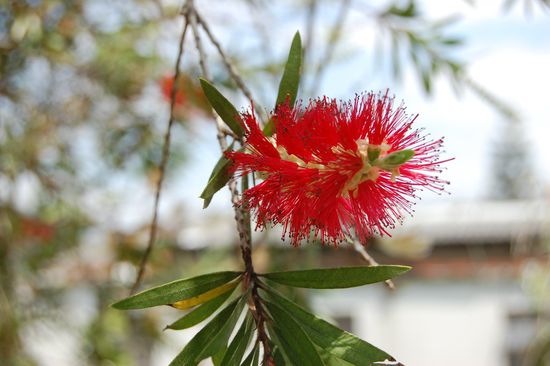 ...und Formen eines genialen Designers!