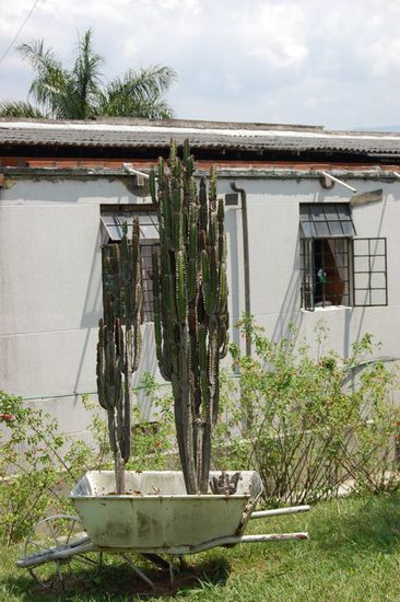 Im Hintergrund das Mädchenwohnheim