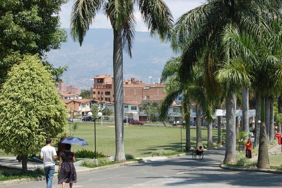 Die Palmenallee führt vom Haupteingang zum Administrationsgebäude.