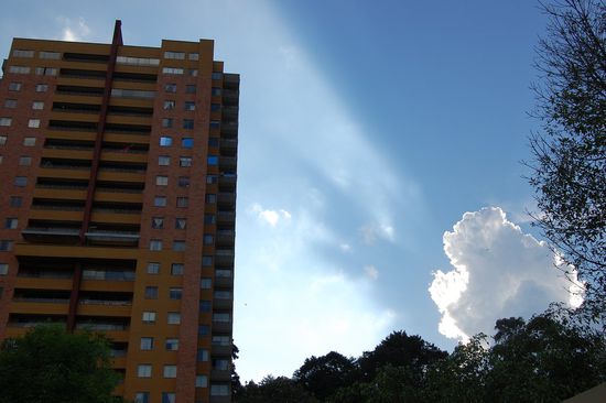Vom Hinterhof aus erahnen wir, dass der Großstadtdschungel inzwischen das komplette Universitätsgelände umschlossen hat.