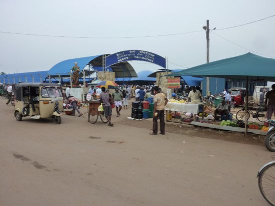 Negombo Fish Market