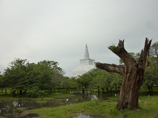 Ruvanweliseya Dagoba