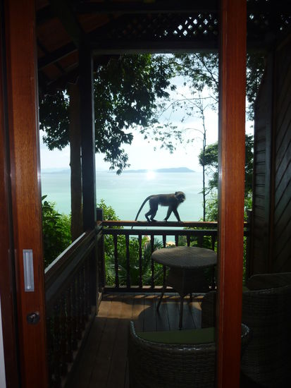 Der erste Besuch ist da!