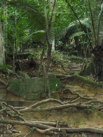 ...immer noch kein richtiger Weg.....