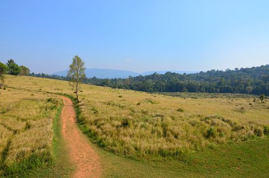 Grassteppe im NP