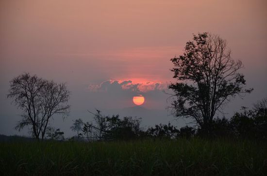 Abendstimmung..... Gute Nacht!