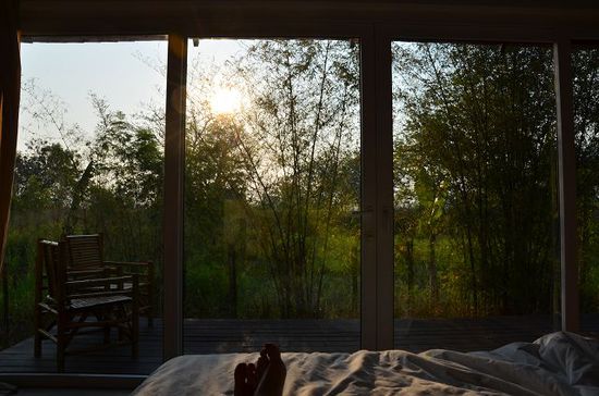 Blick auf den Sonnenaufgang vom Bett aus....