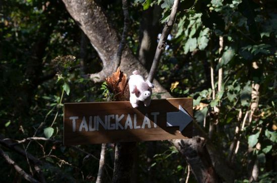 Hinweisschild im Wald