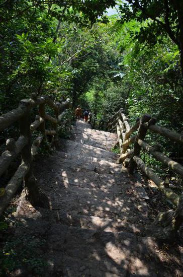 ....und wieder runter....