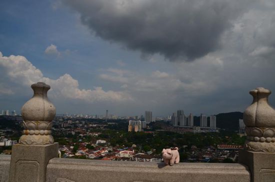Blick von ganz oben auf Georgetown...