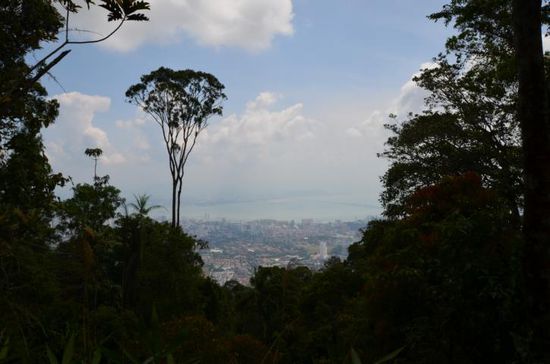 Auf dem Rückweg - noch mal Blick auf Goergetown